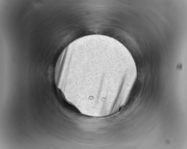 X0000101960036200808151325
