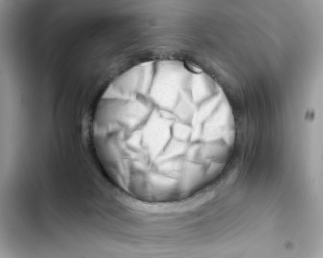 X0000101960038200808151325