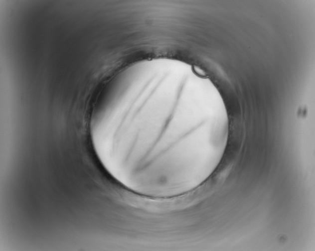 X0000101960039200808151325