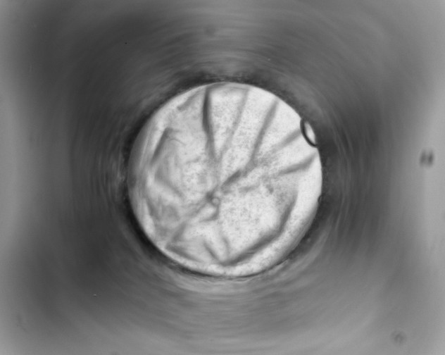 X0000101960040200808151325