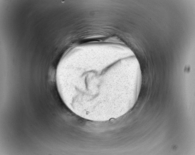 X0000101960041200808151325