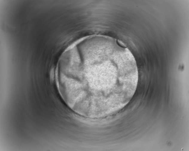 X0000101960042200808151325