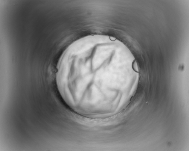 X0000101960043200808151325
