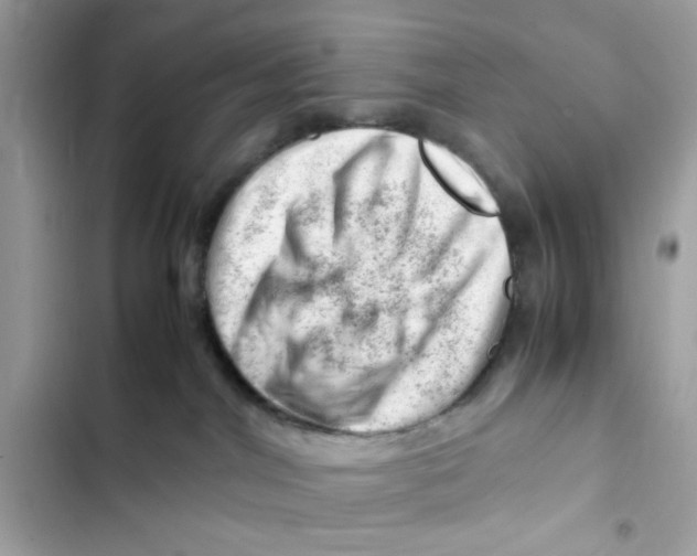X0000101960044200808151325