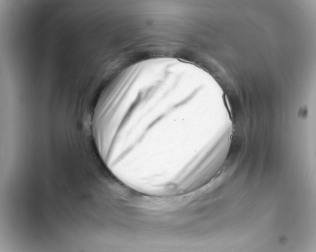 X0000101960045200808151325