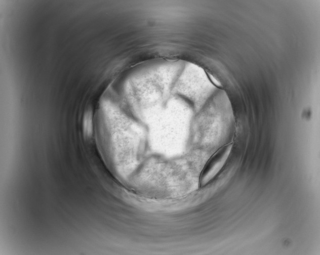X0000101960046200808151325