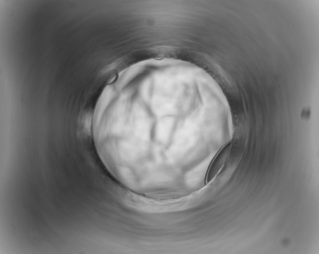 X0000101960047200808151325