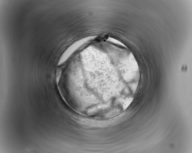 X0000101960048200808151325