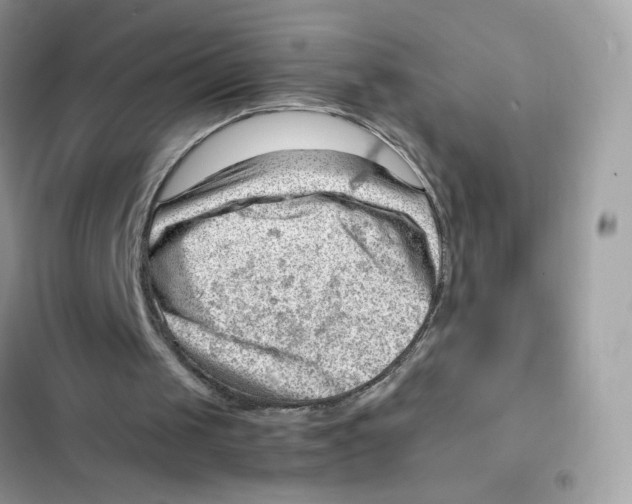 X0000101960049200808151324