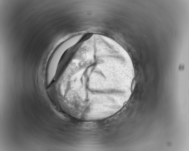 X0000101960050200808151324