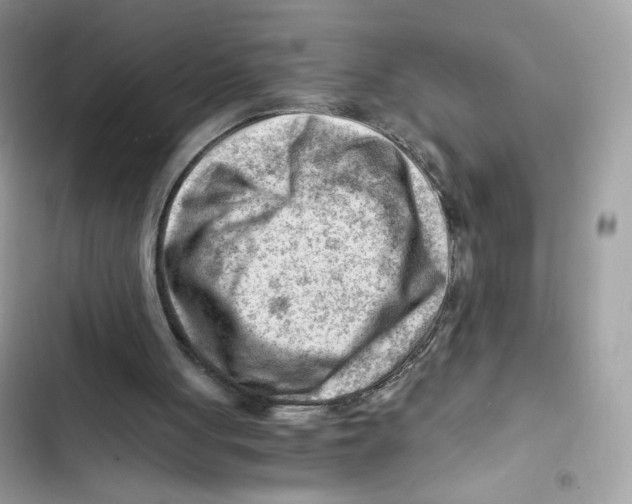 X0000101960051200808151324