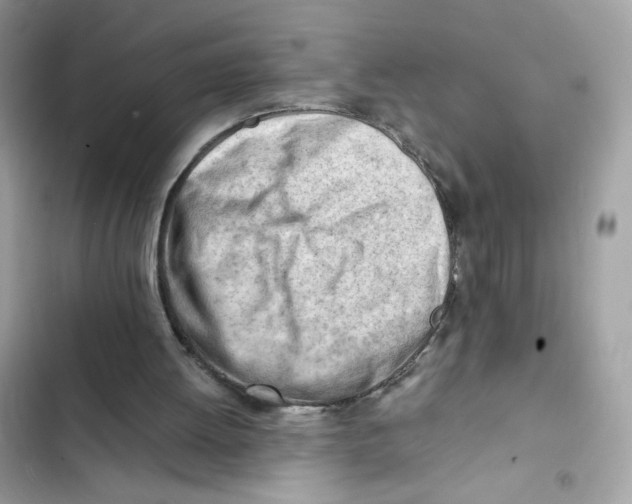 X0000101960052200808151324