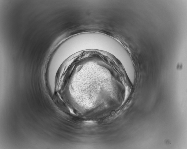 X0000101960053200808151324