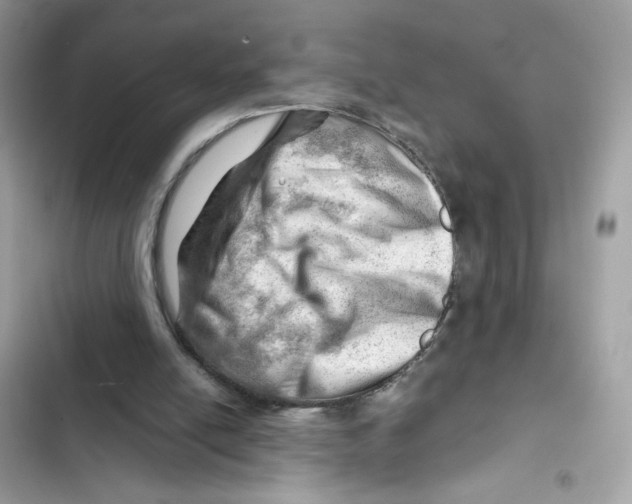 X0000101960054200808151324