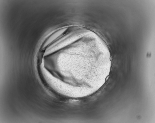 X0000101960055200808151324