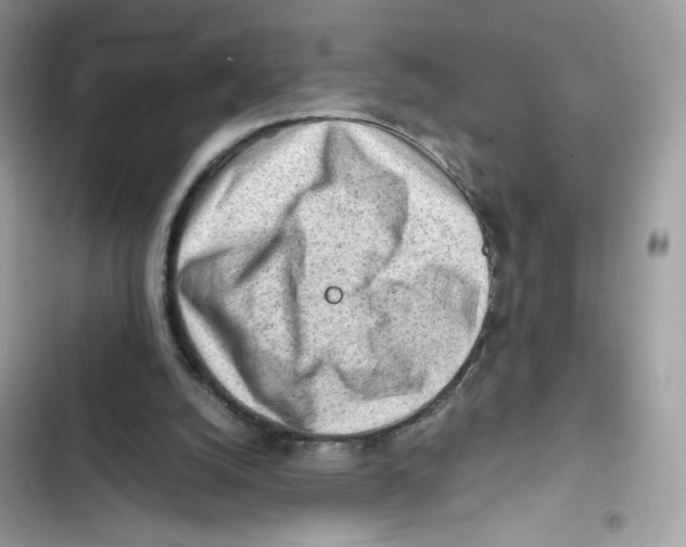 X0000101960056200808151324