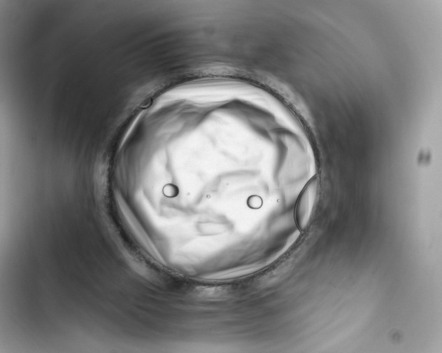 X0000101960057200808151324