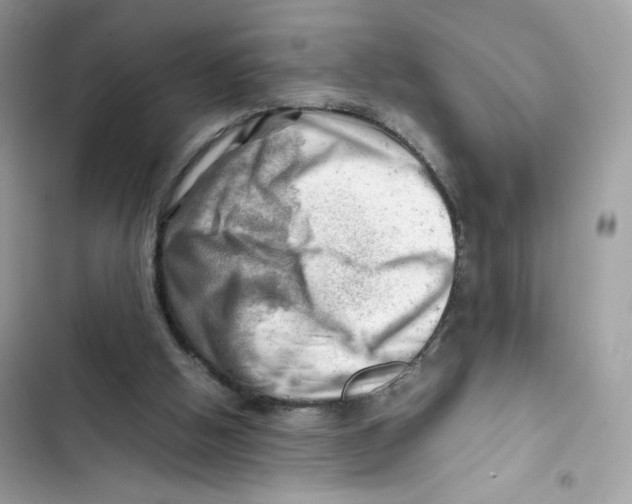 X0000101960058200808151324