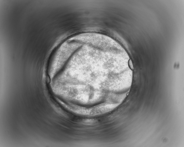 X0000101960059200808151324