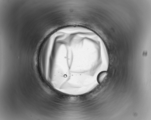X0000101960060200808151324