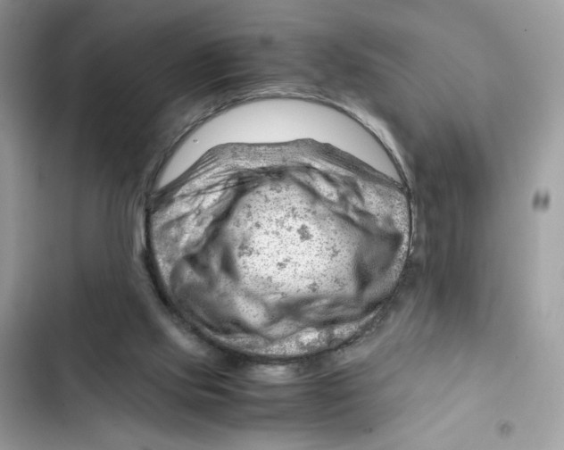 X0000101960061200808151324