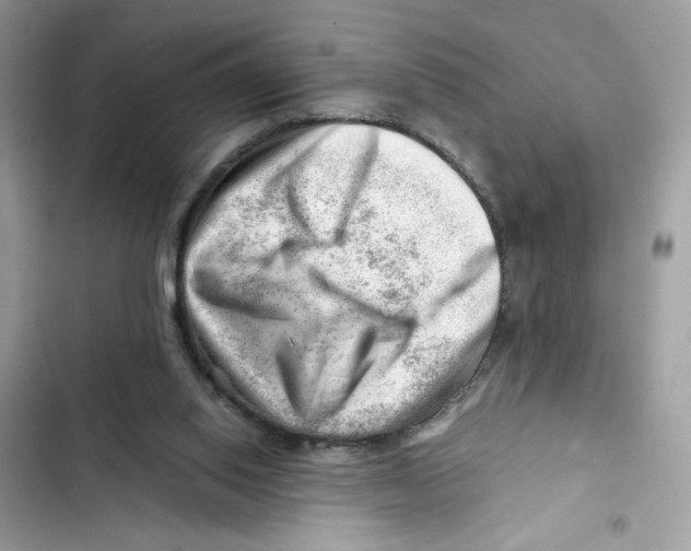X0000101960062200808151324