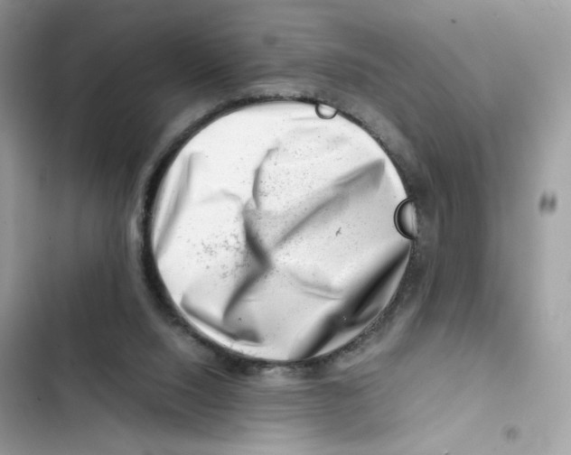 X0000101960064200808151324