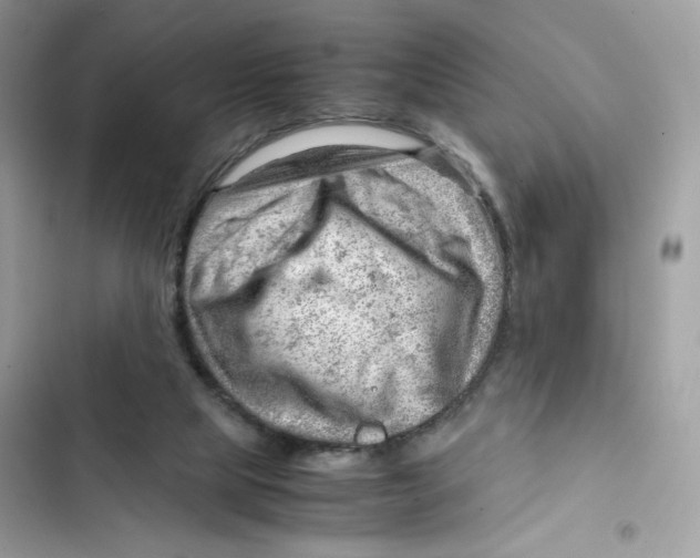 X0000101960065200808151324