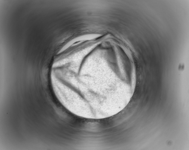 X0000101960066200808151324