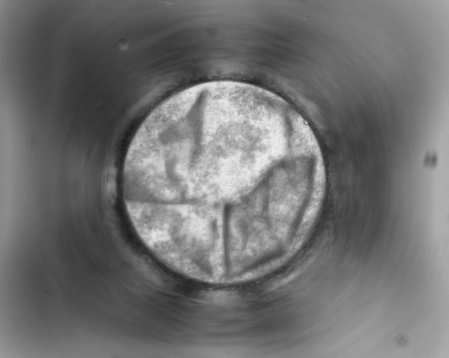 X0000101960067200808151324
