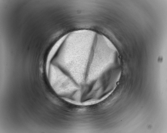 X0000101960068200808151324