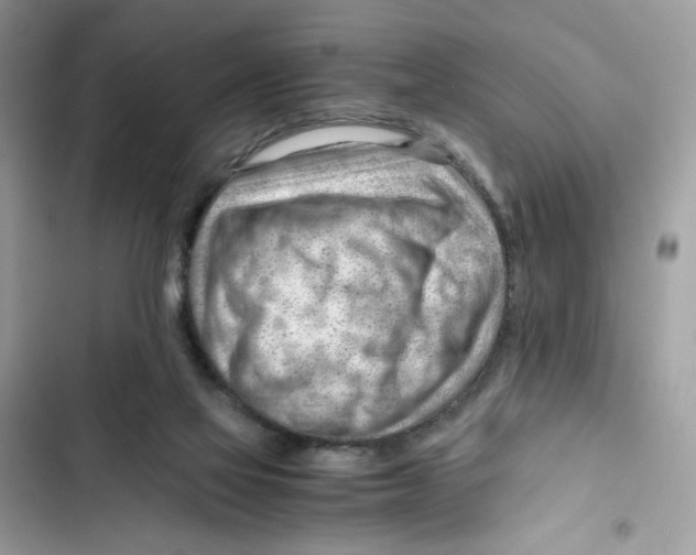 X0000101960069200808151324