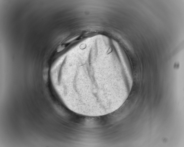 X0000101960070200808151324