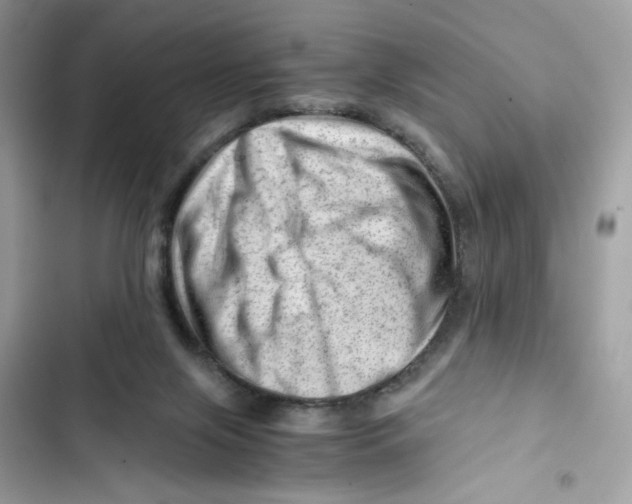 X0000101960071200808151324