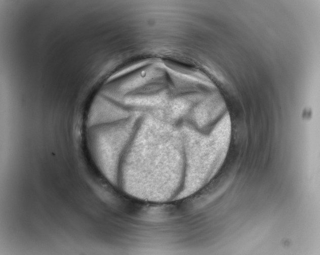 X0000101960072200808151324