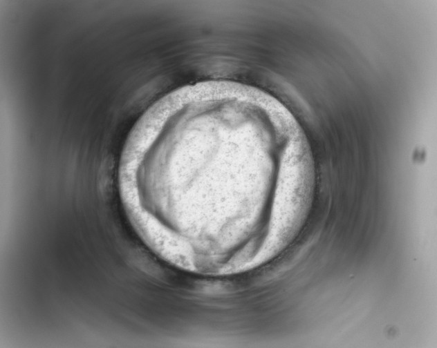 X0000101960073200808151324