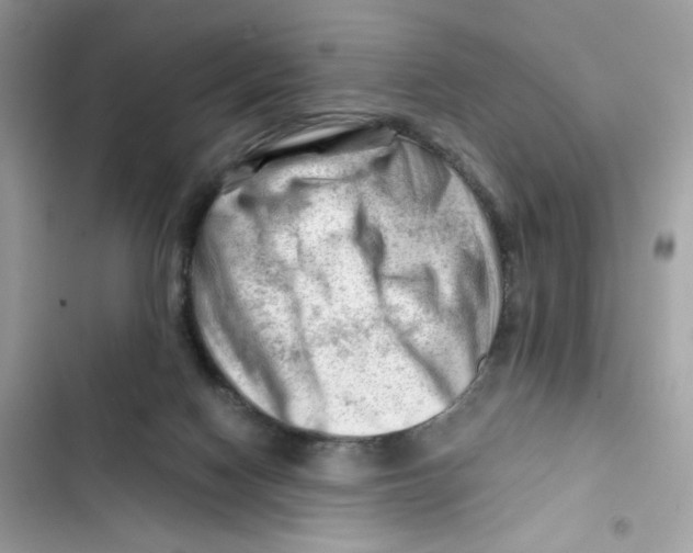 X0000101960074200808151324