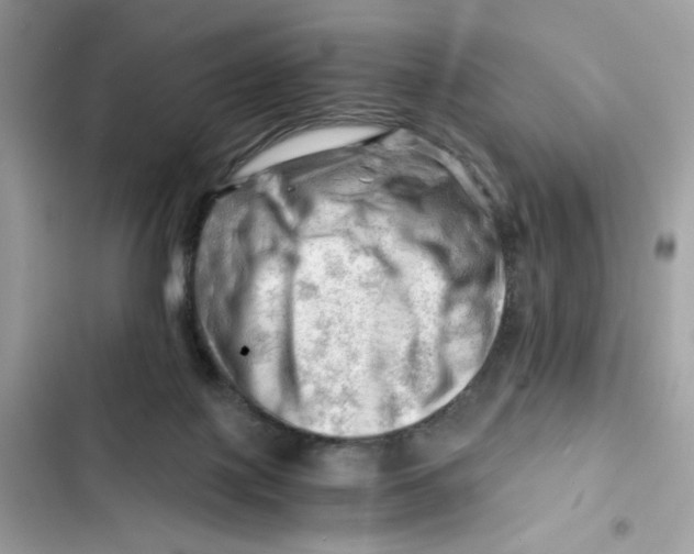 X0000101960075200808151324