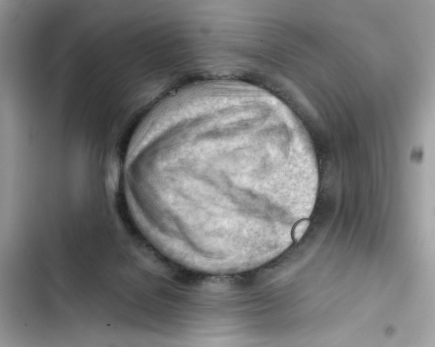 X0000101960076200808151324