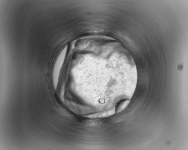 X0000101960077200808151324