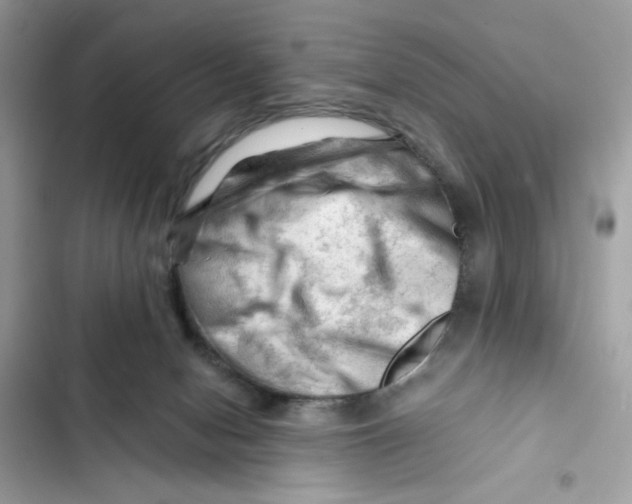 X0000101960078200808151324