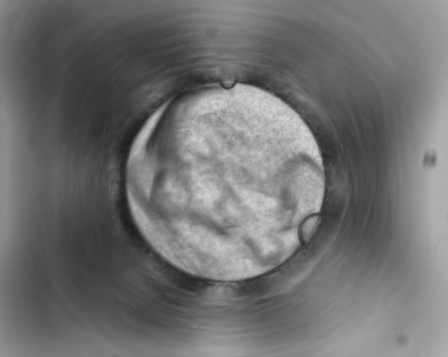 X0000101960080200808151324