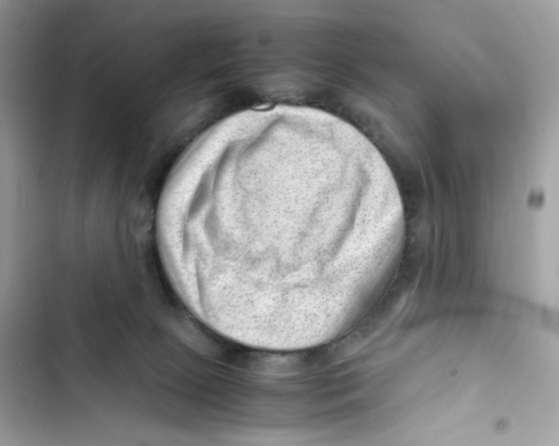X0000101960081200808151324