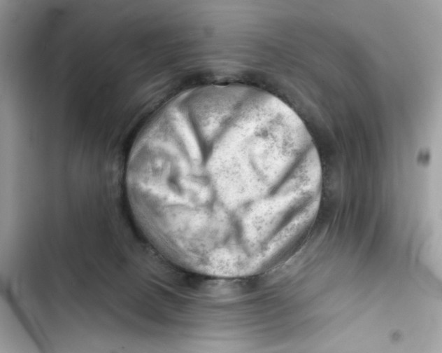 X0000101960082200808151324