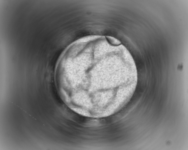 X0000101960083200808151325