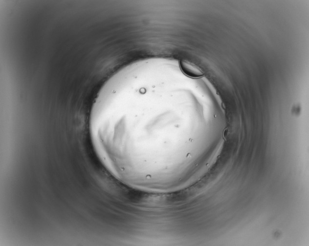 X0000101960084200808151325