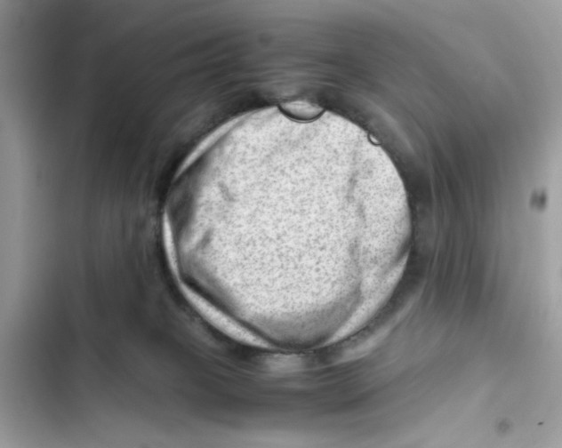 X0000101960085200808151325