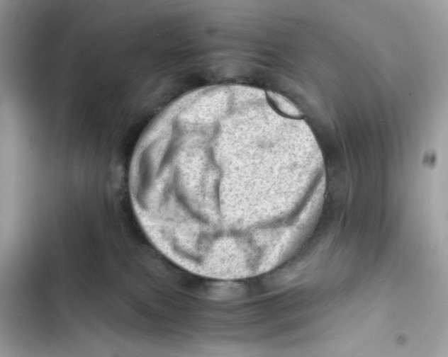 X0000101960087200808151325