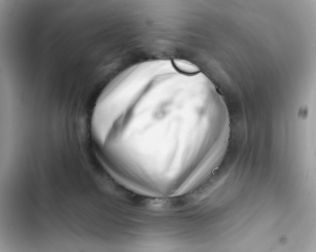 X0000101960088200808151325