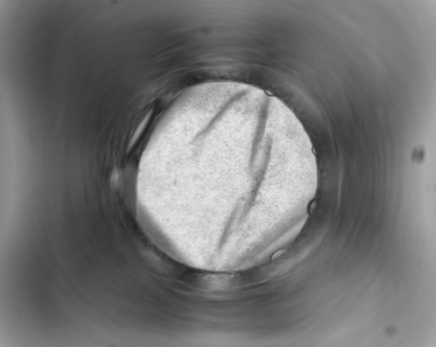 X0000101960089200808151325